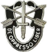 U.S.Army_Special_Forces