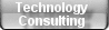 Technology Consulting